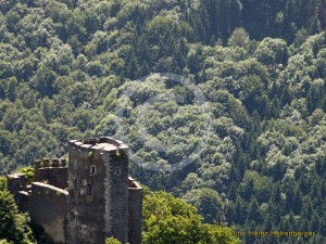 Burgruine Stauff