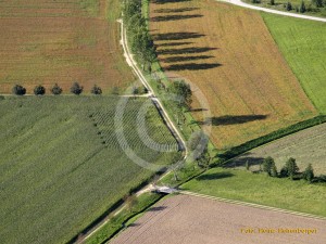 Nähe Grein a. d. Donau