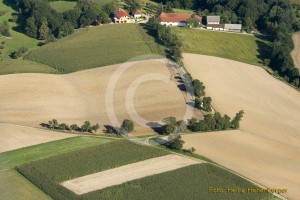 Nähe Dachsberg