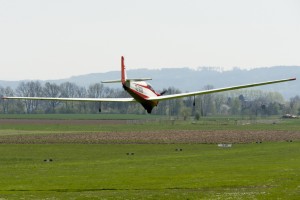 Der Tandemfalk ist gelandet in LOLE 15+ - 003